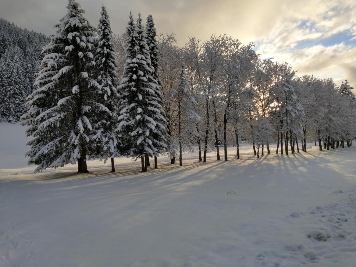 Alpenlandhof Lägenhet Bad Kleinkirchheim Exteriör bild